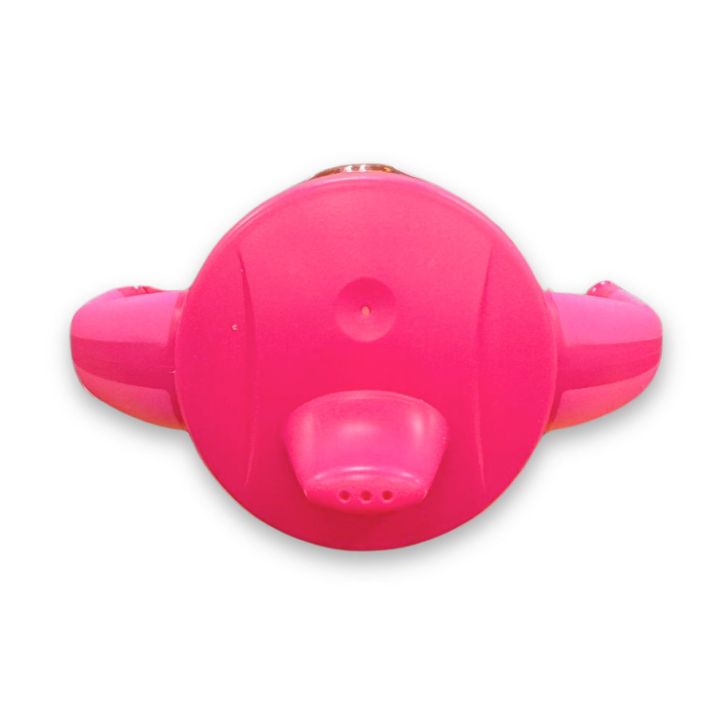 Buc-ee's Spill Proof Sippy Cup with Handles 12oz buc ees buc ee's bucees buccees buc-ees