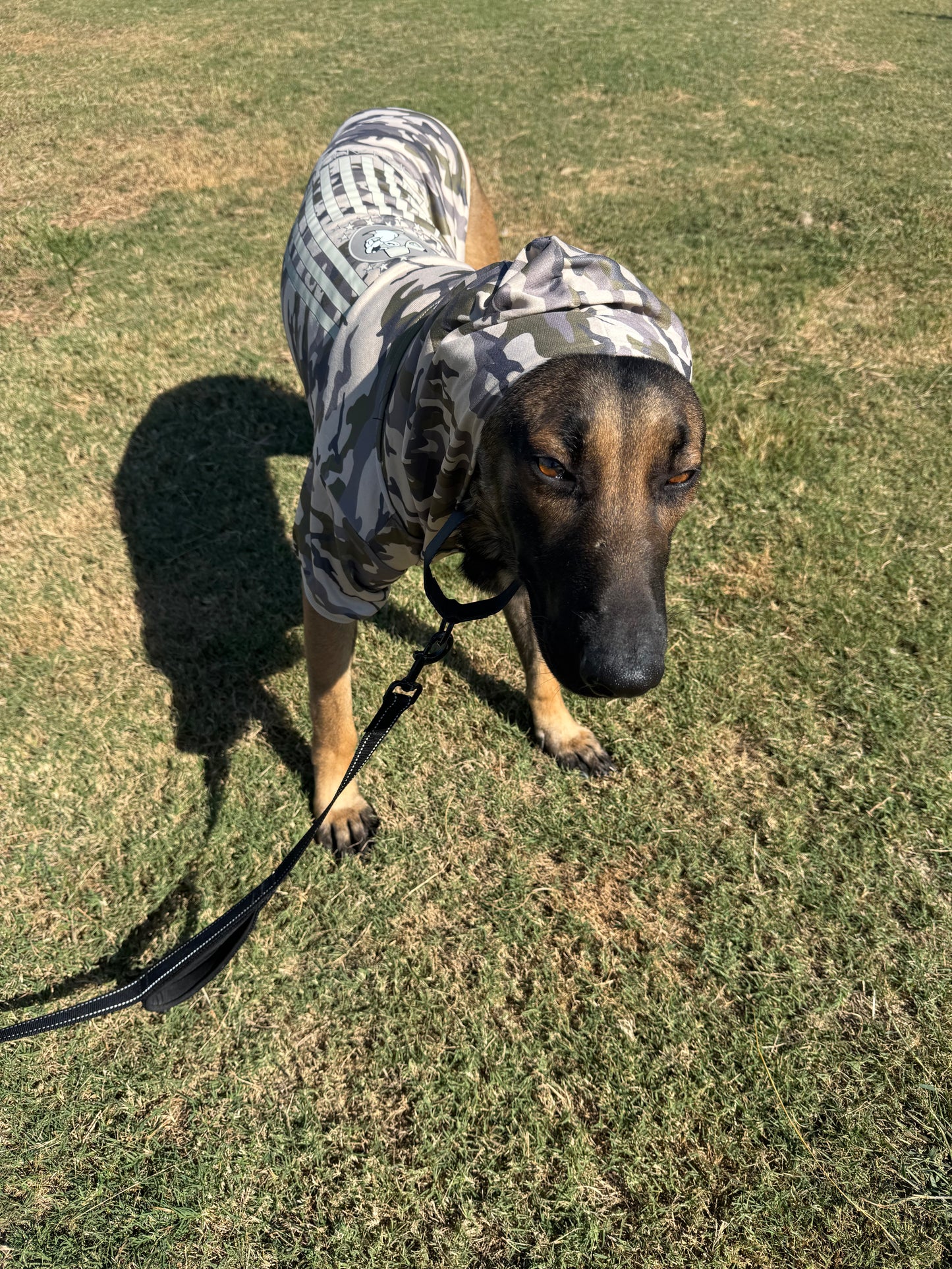 Buc-ee’s Dog Hoodie – Multiple Styles & Colors